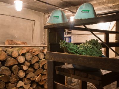 Круглые бани санкт петербург цены
